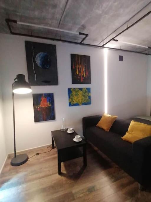 Erdvi Studija Spacious Studio Apartment Self Check In Wilna Exterior foto